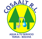 Logo Cosaalt